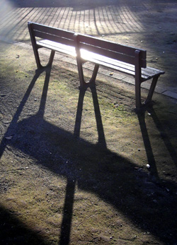 shining bench.JPG